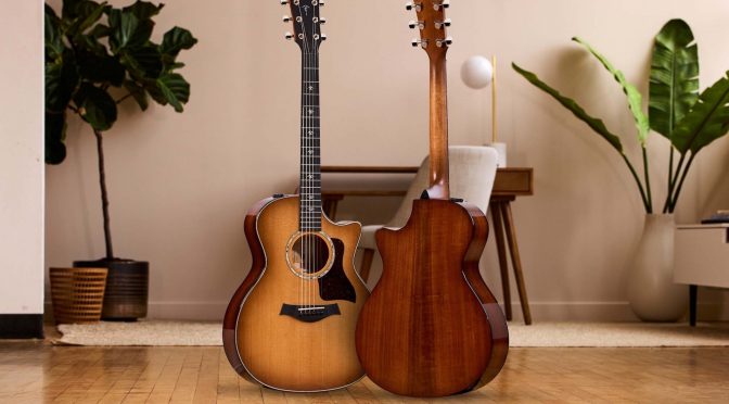 Taylor’s new 500 series Urban Ironbark guitar marks a first for the company